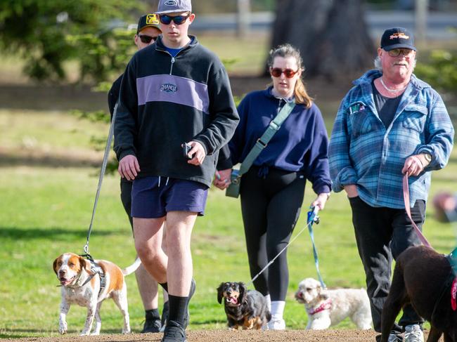 Dog walkers and their dogs at the million paws walk at Queens Domain in Hobart in Sunday 25th May 2025. Picture: Linda Higginson