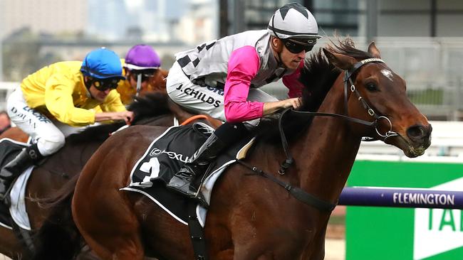 Melbourne Cup contender Surprise Baby was bought for $5500 in New Zealand. Picture: Getty Images