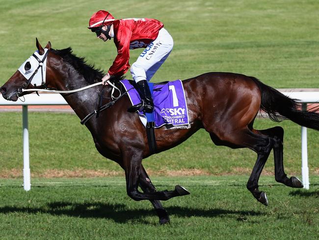 Tarzino wins the Rosehill Guineas on Golden Slipper Day this year. Picture: Getty Images