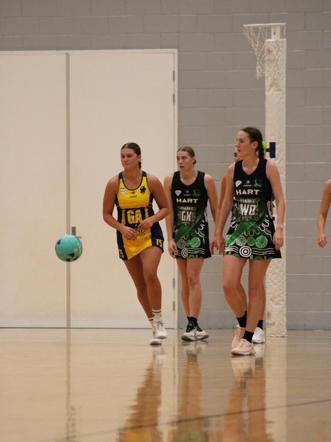 HART Sapphire Series round 1 2024 (Ruby) Darling Downs Panthers v Bond University Bull Sharks Netball