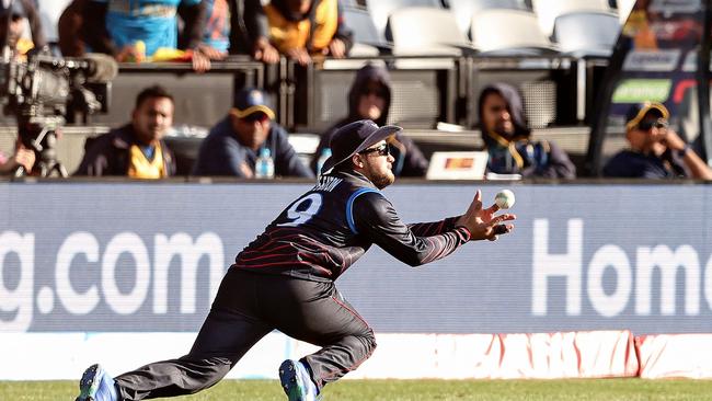 Namibia's Jan Nicol Loftie-Eaton takes a catch to dismiss Sri Lanka's Wanindu Hasaranga during the Australia 2022 Twenty20 World Cup cricket tournament match between Sri Lanka and Namibia at Kardinia Park in Geelong on October 16, 2022. (Photo by Martin KEEP / AFP) / -- IMAGE RESTRICTED TO EDITORIAL USE - STRICTLY NO COMMERCIAL USE --