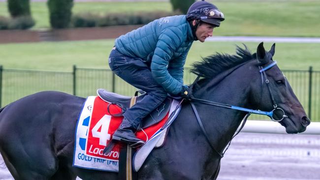 Damian Oliver says there has been no problems with Gold Trip’s action. Picture: Racing Photos via Getty Images)