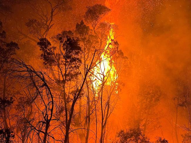 Firefighters are continuing to give it their all with more than 240 trucks and 38 aircraft battling almost 70 fires around QLD this afternoon.  Conditions are expected to ease over the next 24 hours, but are forecast to worsen again next week. , Fire bans are in place for several parts of QLD and it’s vital landholders and residents follow these directions and don’t introduce fire into the landscape. ,  Gilston/Advancetown Rural Fire Brigade at Moonie