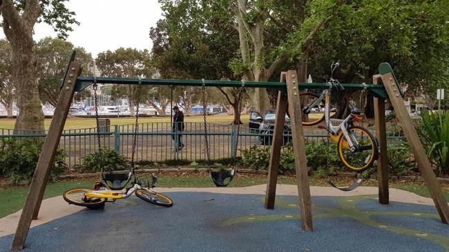 Share bikes at Rushcutters Bay. Picture: Lois Brown.