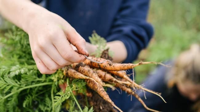 Callum reckons the City Council should turn the old Le Cornu site into a community garden and sports precinct for the public to enjoy. Photo: AAP Image/Morgan Sette.