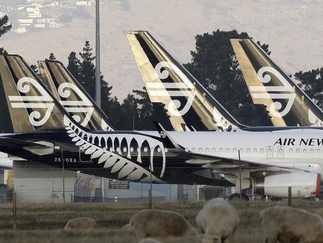 Air New Zealand planes sit parked on the tarmac as sheep graze in a nearby field at Christchurch Airport in Christchurch, New Zealand, Wednesday, May 20, 2020.In a statement Wednesday May 20, 2020, Air New Zealand said it had been forced to undergo a significant program of cost reductions as a result of the financial damage caused by Covid-19 and has taken the step of reducing their workforce by 3500 roles. (AP Photo/Mark Baker)