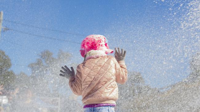 The snowfields at Snowflakes in Stanthorpe. Photo: Liana Turner / NRM Staff