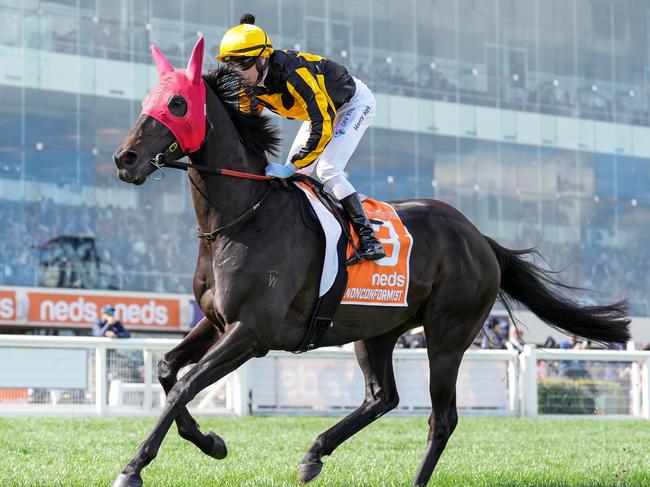 Nonconformist on the way to the barriers prior to the running of the Neds Might And Power at Caulfield Racecourse on October 14, 2023 in Caulfield, Australia. (Photo by Scott Barbour/Racing Photos via Getty Images)