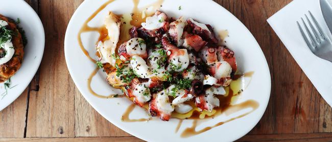 The terrifically tender, tasty octopus.