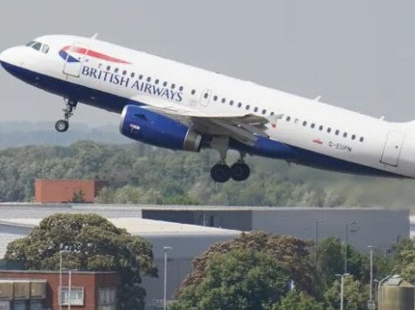 BA sources said the airline had terminated the contracts of the supervisor and his partner.