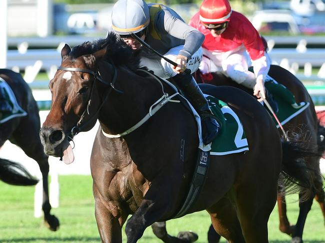 Baller races away to win the Group 2 Moreton Cup under Hugh Bowman for the second consecutive year. Picture: Grant Peters - Trackside Photography