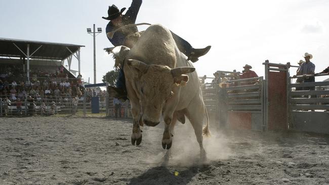 Two people found themselves injured after being thrown or kicked by bulls at the Clermont Showground.