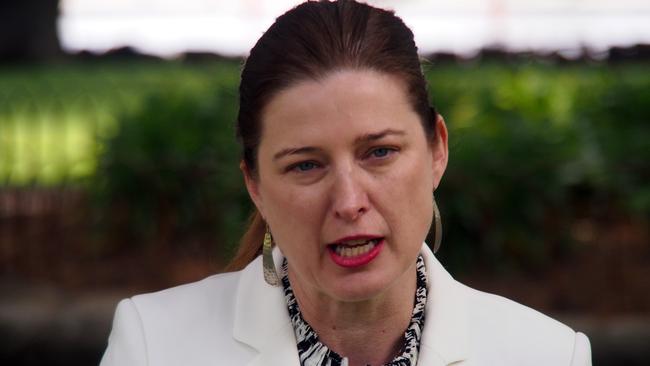 Labor MP Julie Collins speaks to the media on Parliament House lawns in Hobart on Monday November 4, 2019.