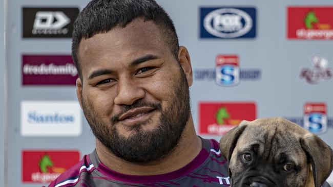 Australian professional rugby union player Taniela Tupou is pictured with his 10-week old puppy Thor. Picture: Brendan Hertel / QRU via NCA NewsWire