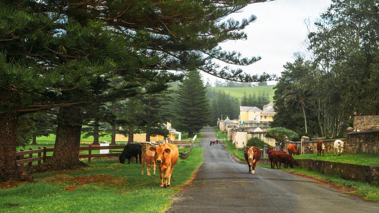 Norfolk Island: The Australian island that feels like another country