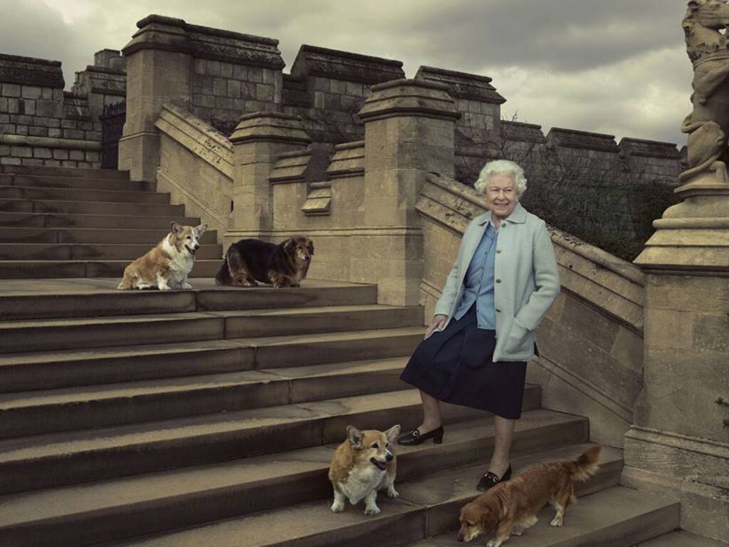 The Queen pictured for her 90th birthday in 2016, with her beloved dogs Willow, Vulcan, Candy and Holly.