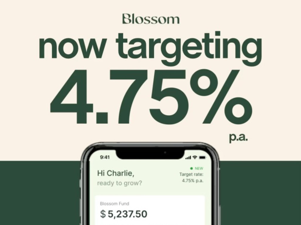 The app targets a 4.75 per cent return and Ms Rosenberg says that Blossom has hit its targets 100 per cent of the time so far.