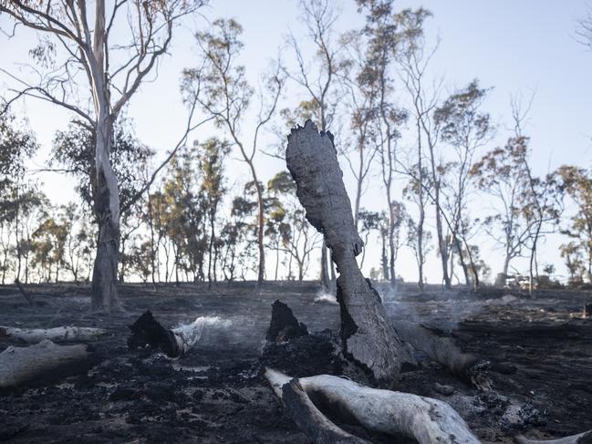 A spot fire burns north of Glen Innes on Sunday. Picture: Getty/Brook Mitchell