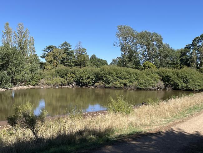 The Gong dam in Buninyong, looking towards Cornish St.