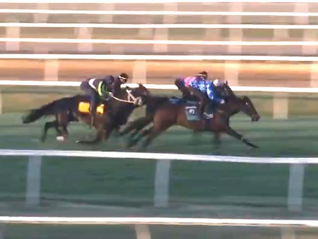 Pride of Jenni shades Antino in their Cranbourne jumpout on Monday. Picture: Screengrab