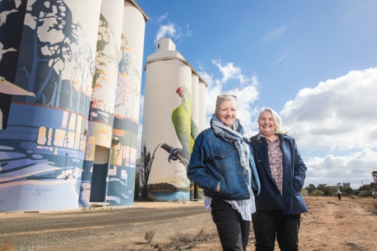 Art on Waikerie silos