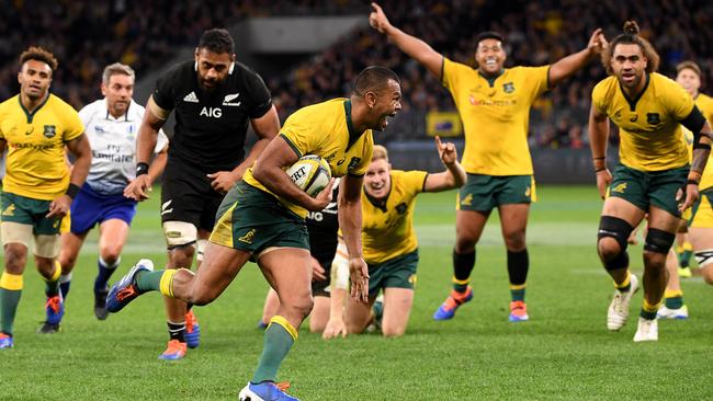 Nick Farr-Jones says the Wallabies should not be underestimated at the World Cup.