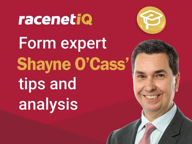 Racenet form analyst Shayne O'Cass.