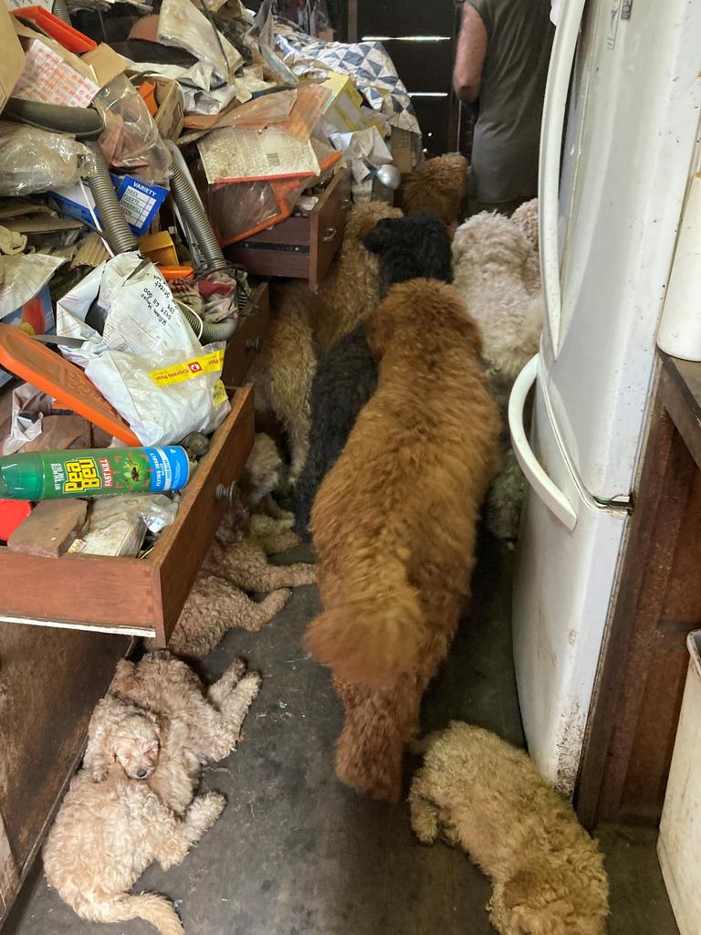 Rubbish was strewn throughout the house. Picture: RSPCA