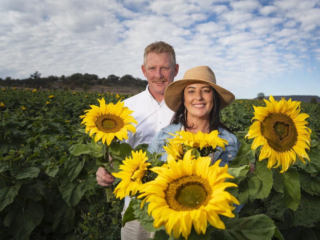 Nick Rafter proposed to Jennifer Hodges while at Warraba Sunflowers, Saturday, June 22, 2024. Picture: Kevin Farmer