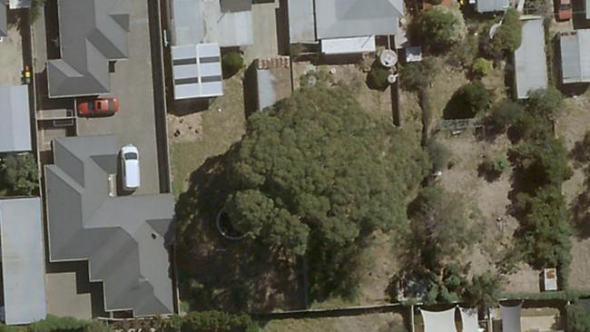 An aerial view of a 23m tall River Red Gum at 11 Second Avenue, Ascot Park. Picture: Metro Maps