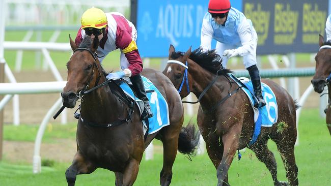 Speedy Tony and Calvin McEvoy-trained filly Arabian Summer is having a crack at the $1m Magic Millions National 2YO Classic at Doomben on Saturday. Picture: Grant Peters / Trackside Photography.