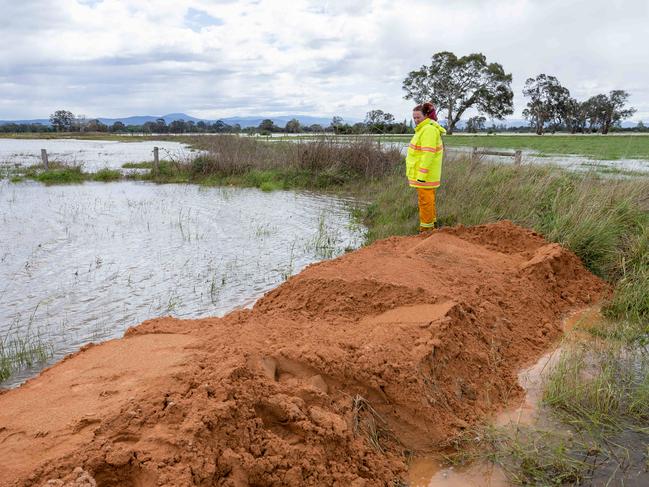 A CFA crew member checks the levee bank protecting the town. Picture: Jason Edwards