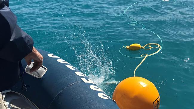 Shark control equipment being deployed at Sawmill Bay in the wake of two shark attacks.