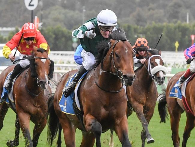 Growing Empire ridden by Mark Zahra wins the Winning Edge Presentations Poseidon Stakes at Flemington Racecourse on September 14, 2024 in Flemington, Australia. (Photo by Brett Holburt/Racing Photos via Getty Images)