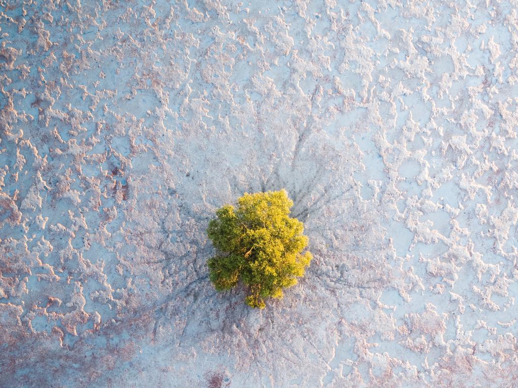 Winning entries from 2018 Sharp Shot Australia photography competition: Picture: Matt Deakin (WA)