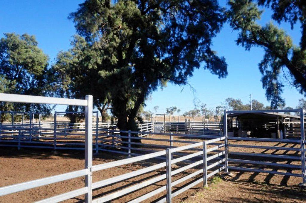 Grosvenor Downs. Picture: Elders Real Estate Mackay Rural