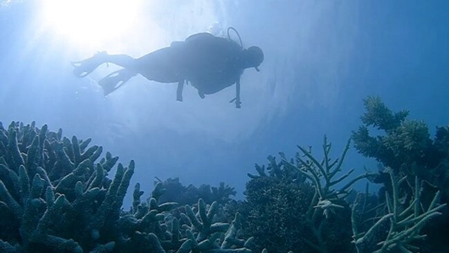 Whitsundays-based marine biologist, Johnny Gaskell, has discovered an unknown Blue Hole in the Great Barrier Reef, after spotting it on Google maps.