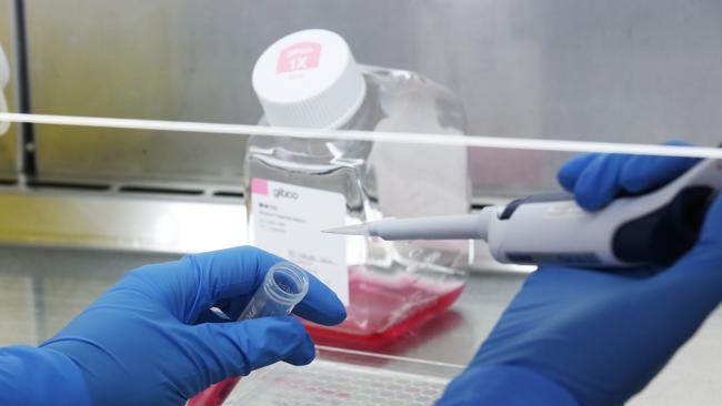 Generic image inside a lab at the CSIRO's high-containment facility in Geelong, Friday, January 31, 2020. CSIRO, Australia's national science agency, has commenced key research in the rapid global response to the novel coronavirus outbreak. (AAP Image/David Crosling) NO ARCHIVING