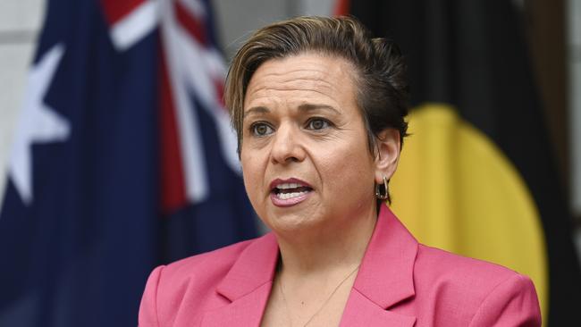 Communications Minister Michelle Rowland. Picture: NewsWire / Martin Ollman