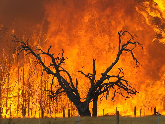 A bushfire burns in the Bunyip State Forest near the township of Tonimbuk, Saturday, Feb. 07, 2009. Authorities have issued urgent fire warnings to towns near a bushfire burning out of control east of Melbourne. (AAP Image/Andrew Brownbill) NO ARCHIVING, INTL OUT