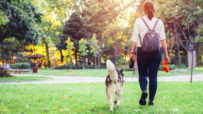 A 22-year-old admitted she walks on quiet paths so can leave dog poo without anyone noticing. Picture: iStock