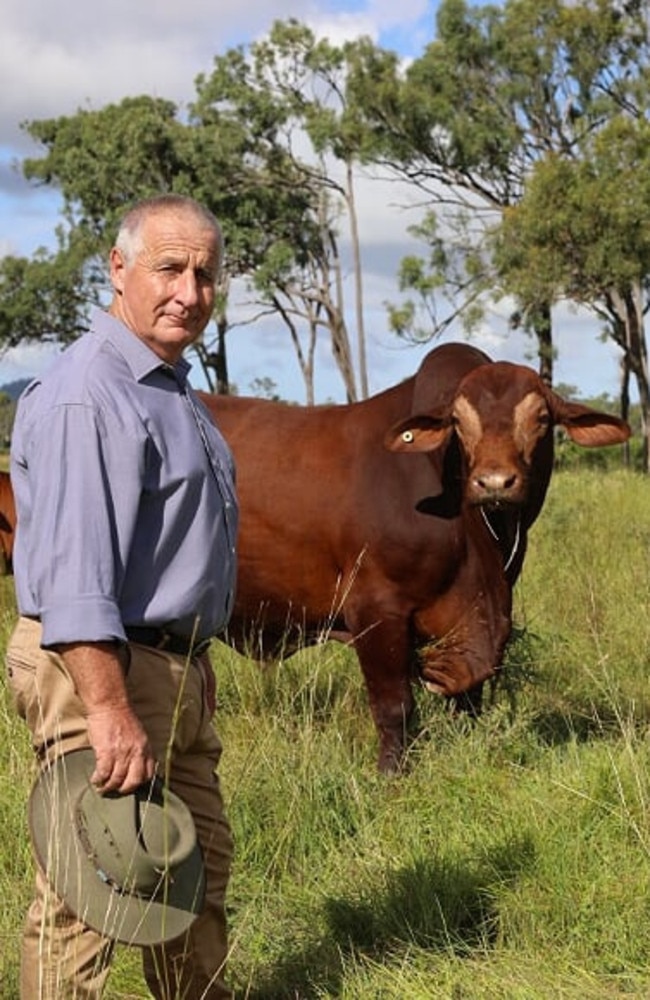 Adrian de Groot said people staying on the property would be able to see cattle, chooks and a lot of native wildlife on the farm.