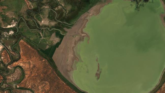 Great Darling Anabranch farmer John Clothier has started cultivating the western edge of the receding Lake Mindona.