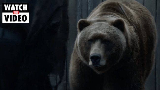 Bart the Bear - Grizzly bear conservation and protection