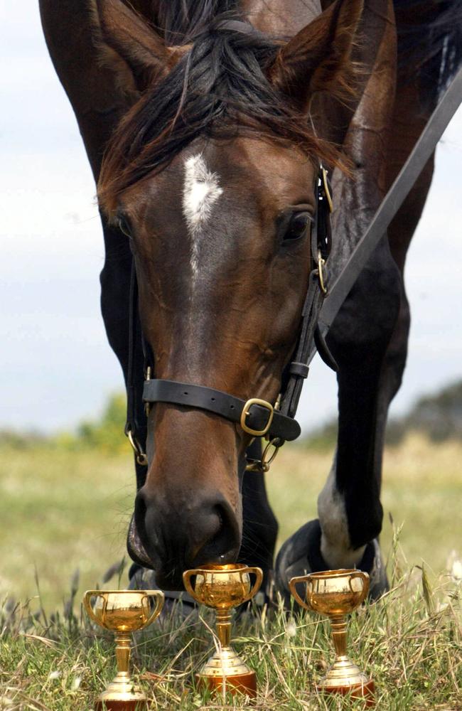 Bling factor: Makybe Diva with her three Melbourne Cups.