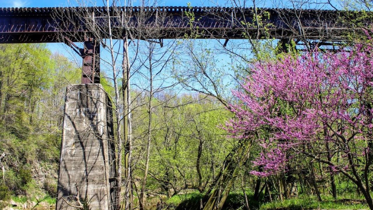 Monon High Bridge, Delphi Indiana Picture: Google