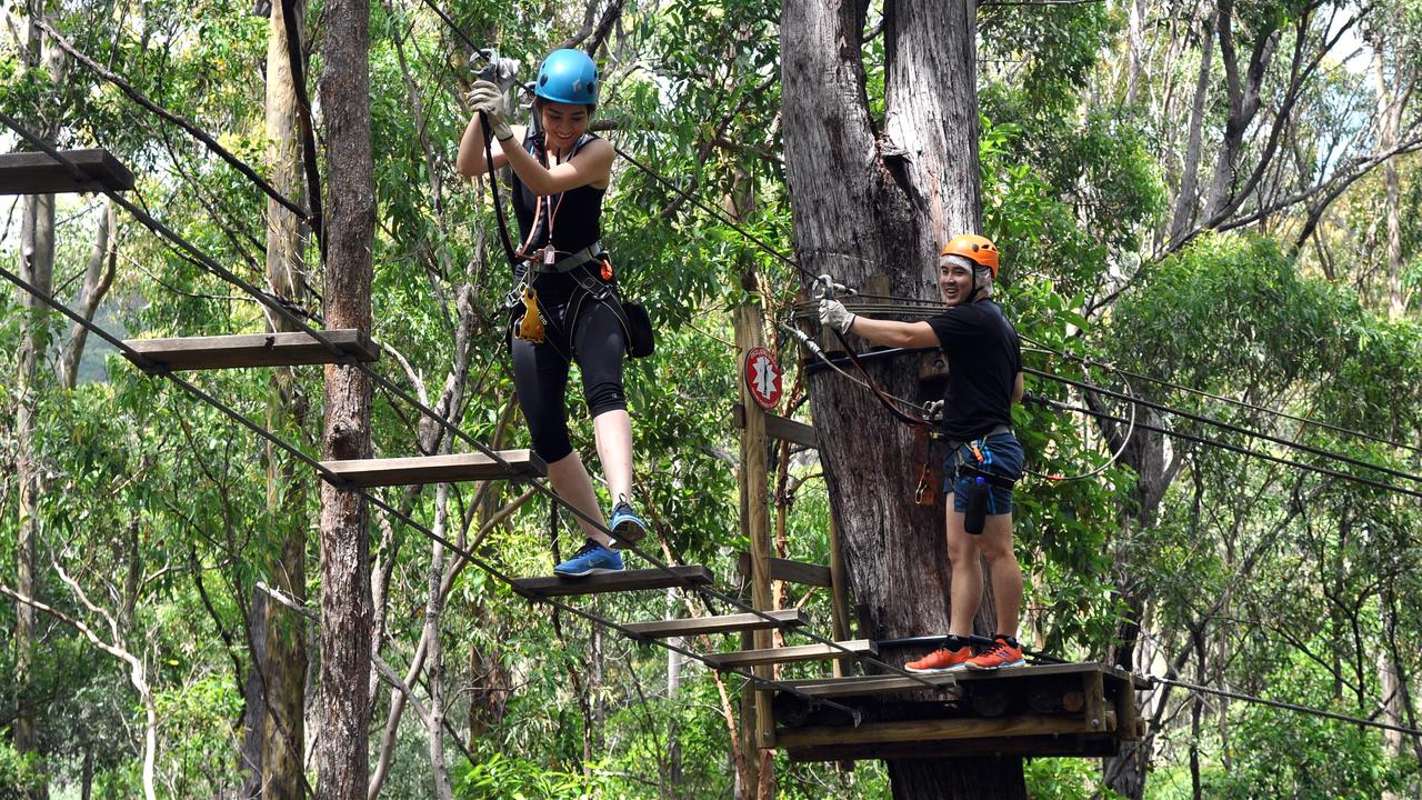 Backyard Tourist: Perfect place for kids at Thunderbird Park, Mount ...