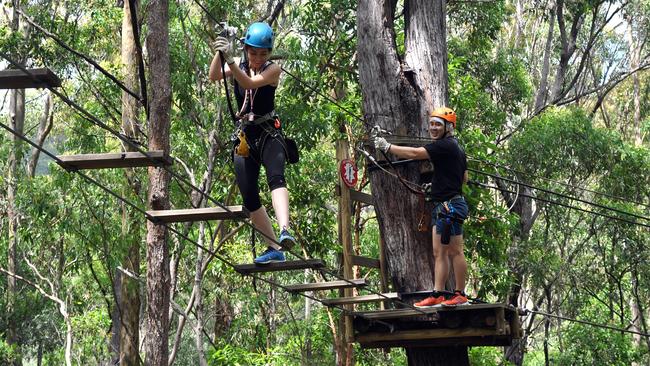 One of the treetop challenges.