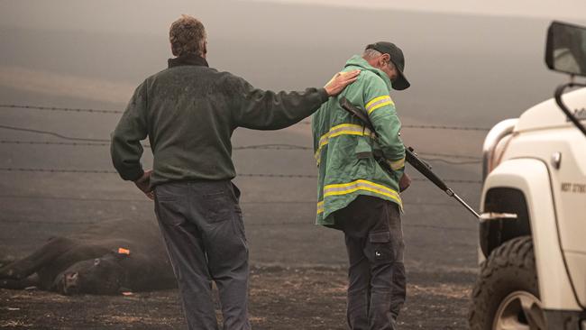 Bill Blair comforts his brother Jack as they put down many of Bill’s herd of Angus cattle after they were badly burnt. Picture: Jason Edwards