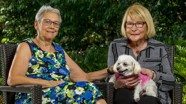 Princess Pookie saved a Carol Hayes, 78, after she fell in a nursing home but no one knew about it. Picture: Jerad Williams